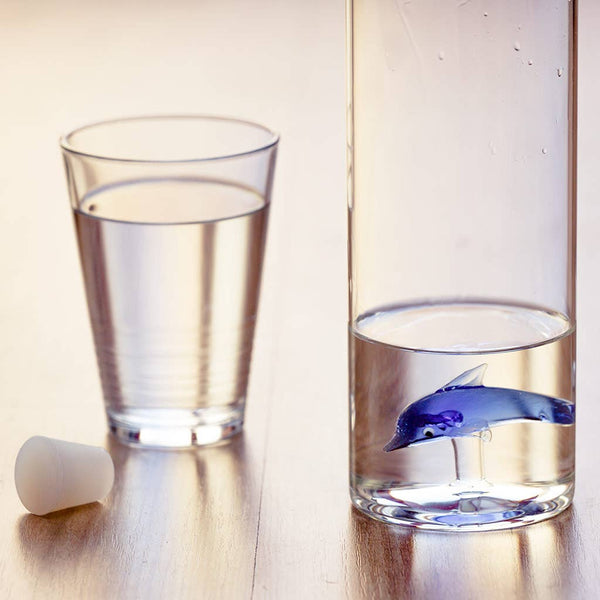 Atlantis Dolphin Water Bottle 1.2L - Carafe - Distinctly Living