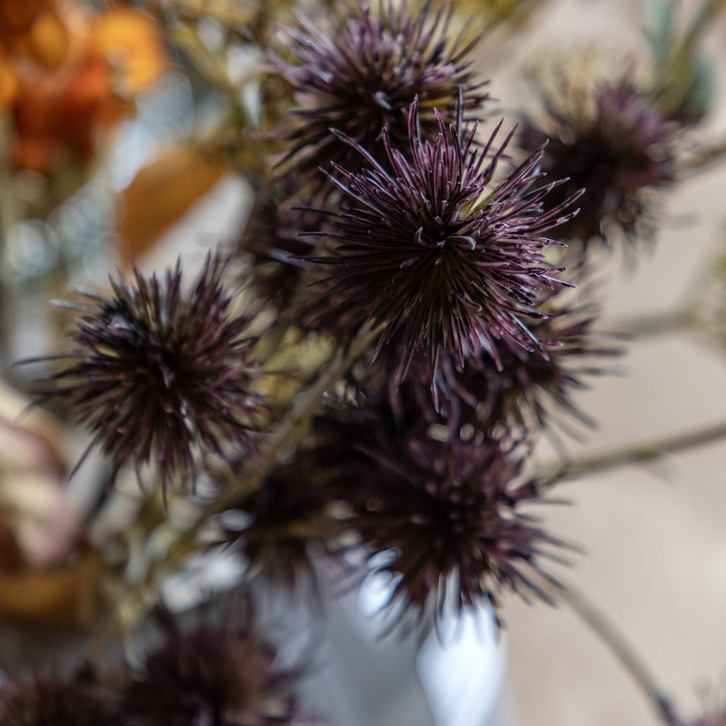 Autumnal Bouquet - Distinctly Living