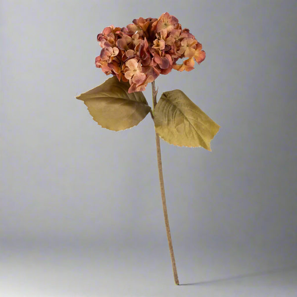 Burnt Orange Hydrangea - Distinctly Living