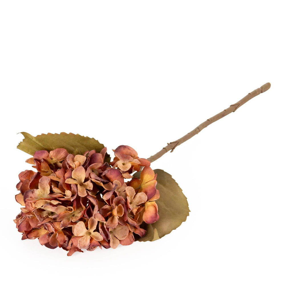 Burnt Orange Hydrangea - Distinctly Living