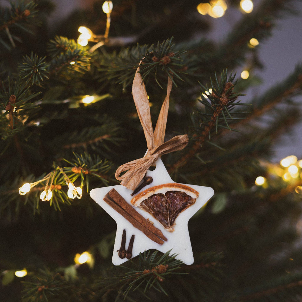 Christmas Scented Tree Decorations and Wax Melts - Distinctly Living