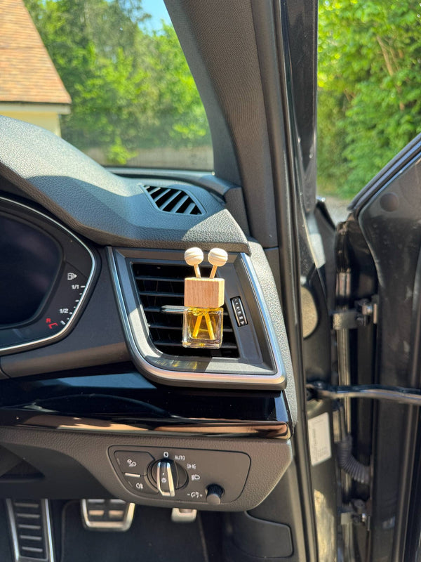 Citrus and Spice Car Diffuser - Distinctly Living