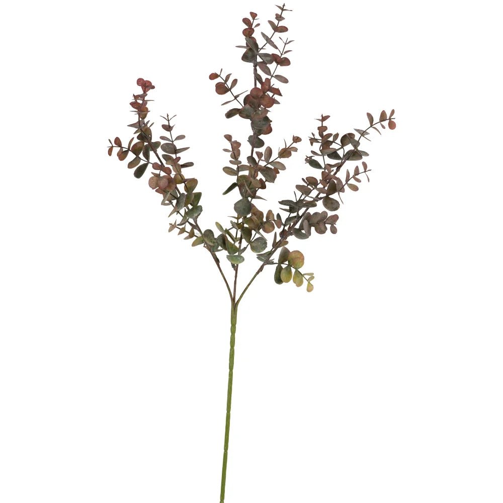 Eucalyptus Stem - Distinctly Living