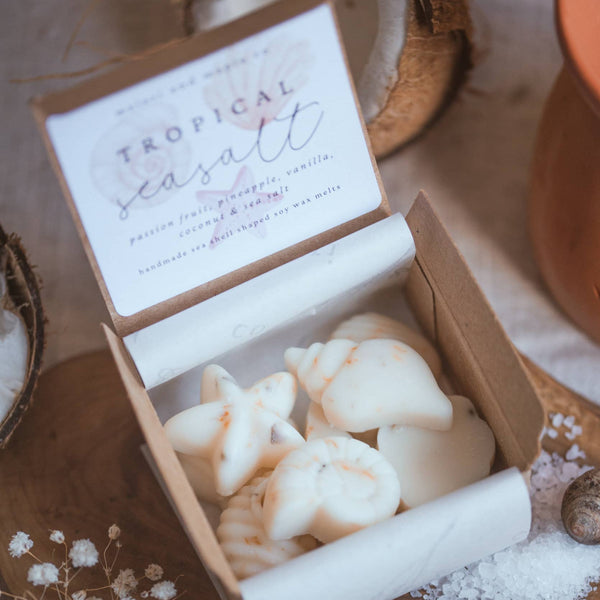 Seashell Shaped Soy Wax Melts / Coastal, Beach, Summer - Distinctly Living