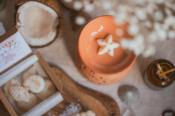 Seashell Shaped Soy Wax Melts / Coastal, Beach, Summer - Distinctly Living