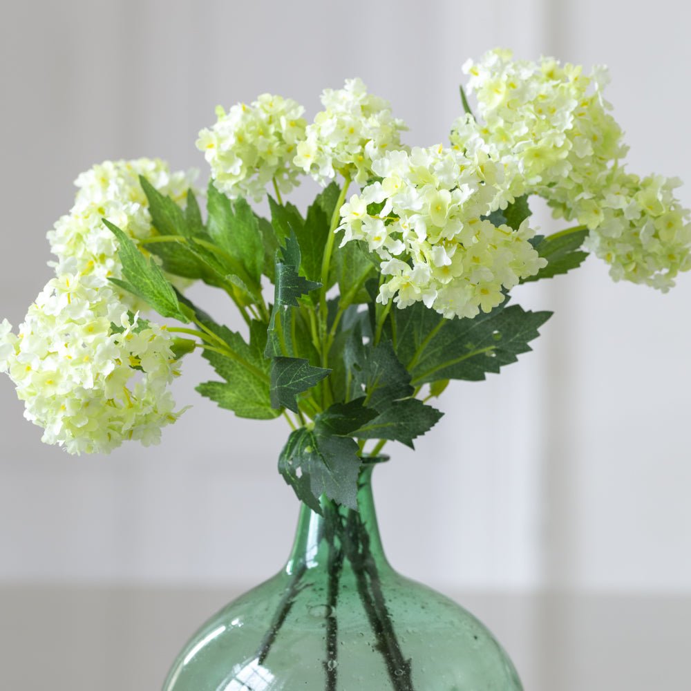 Viburnum Stem - Distinctly Living