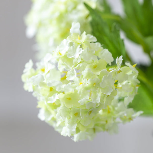 Viburnum Stem - Distinctly Living