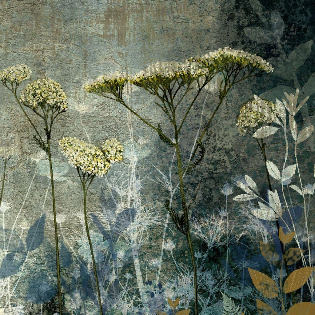 Clarity Print - Distinctly Living