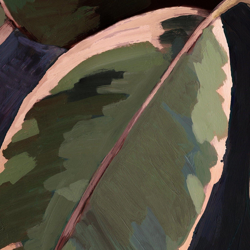 Ficus Print - Distinctly Living