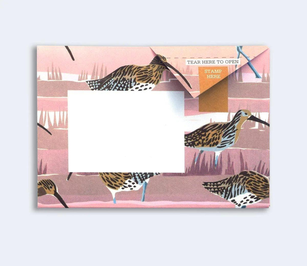 Hebridean Pigeons Notecards - Distinctly Living 