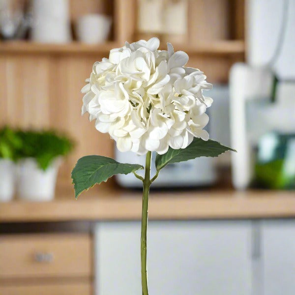 Real Feel Hydrangea White - Flowers - Distinctly Living