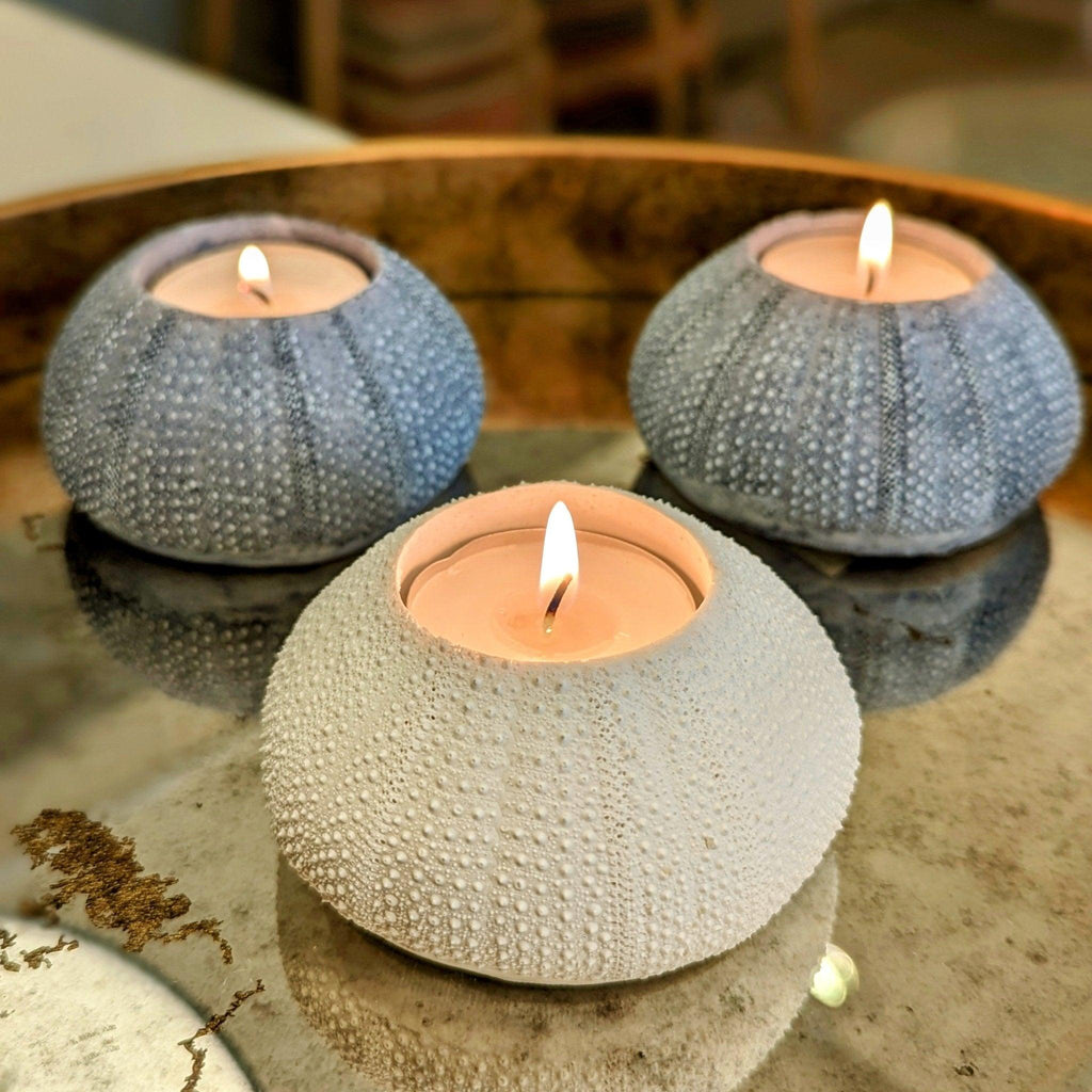 White Sea Urchin Candle Holder - Distinctly Living
