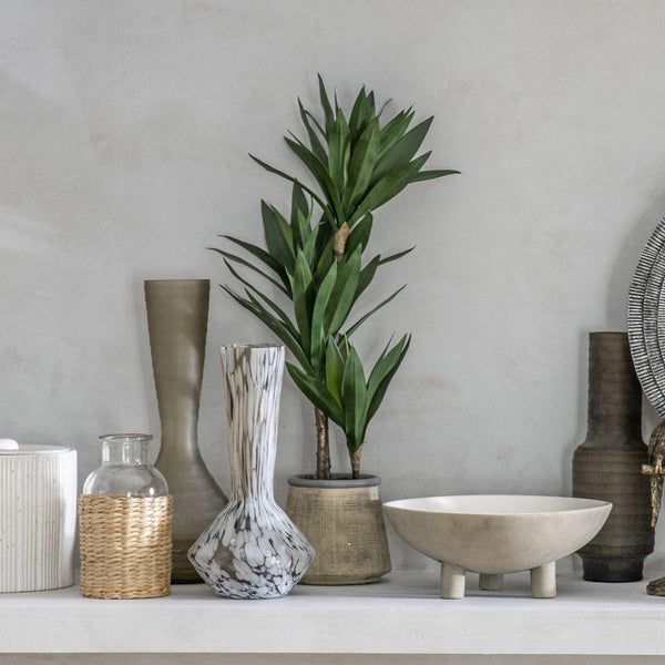 Yucca Plant - Distinctly Living