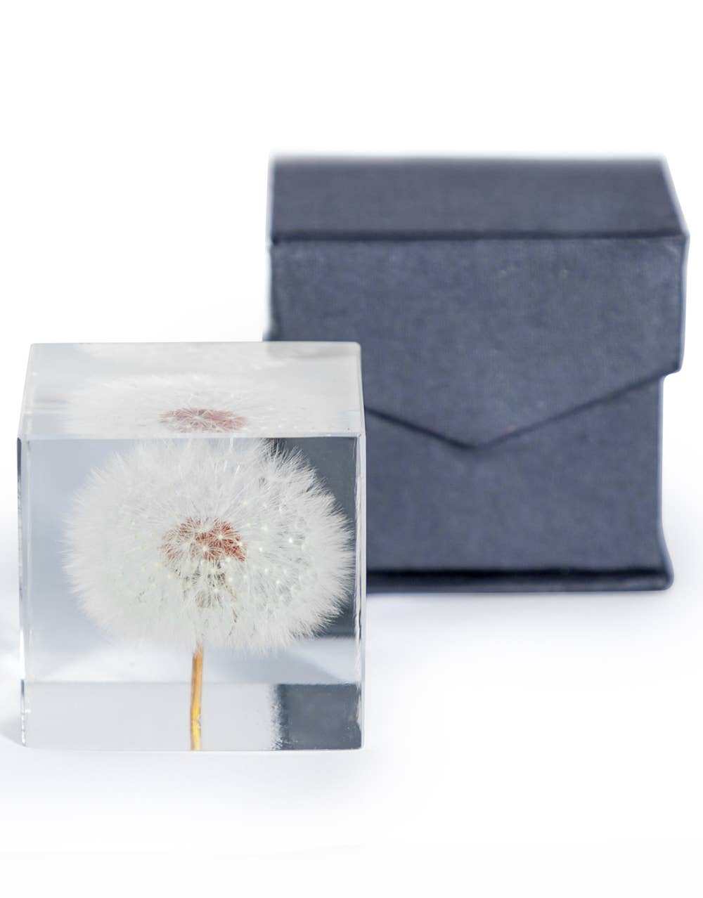 Wisp dandelion paperweight and its gift box