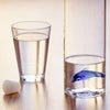 Atlantis Dolphin Water Bottle 1.2L - Carafe - Distinctly Living