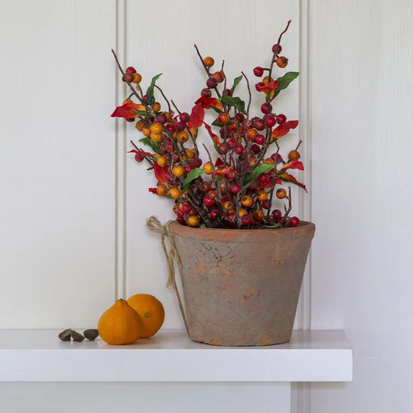Autumnal Berry Stem - Distinctly Living