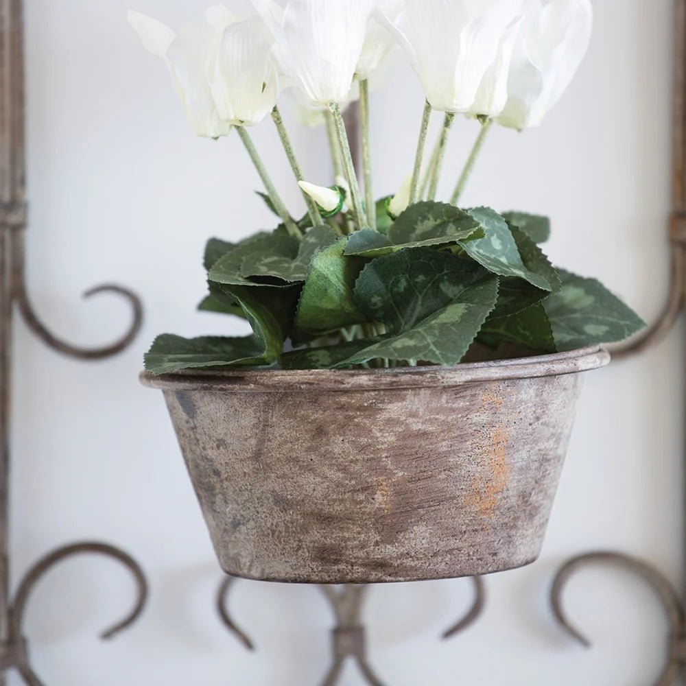 Baroc Wall Planter - Distinctly Living