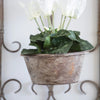 Baroc Wall Planter - Distinctly Living