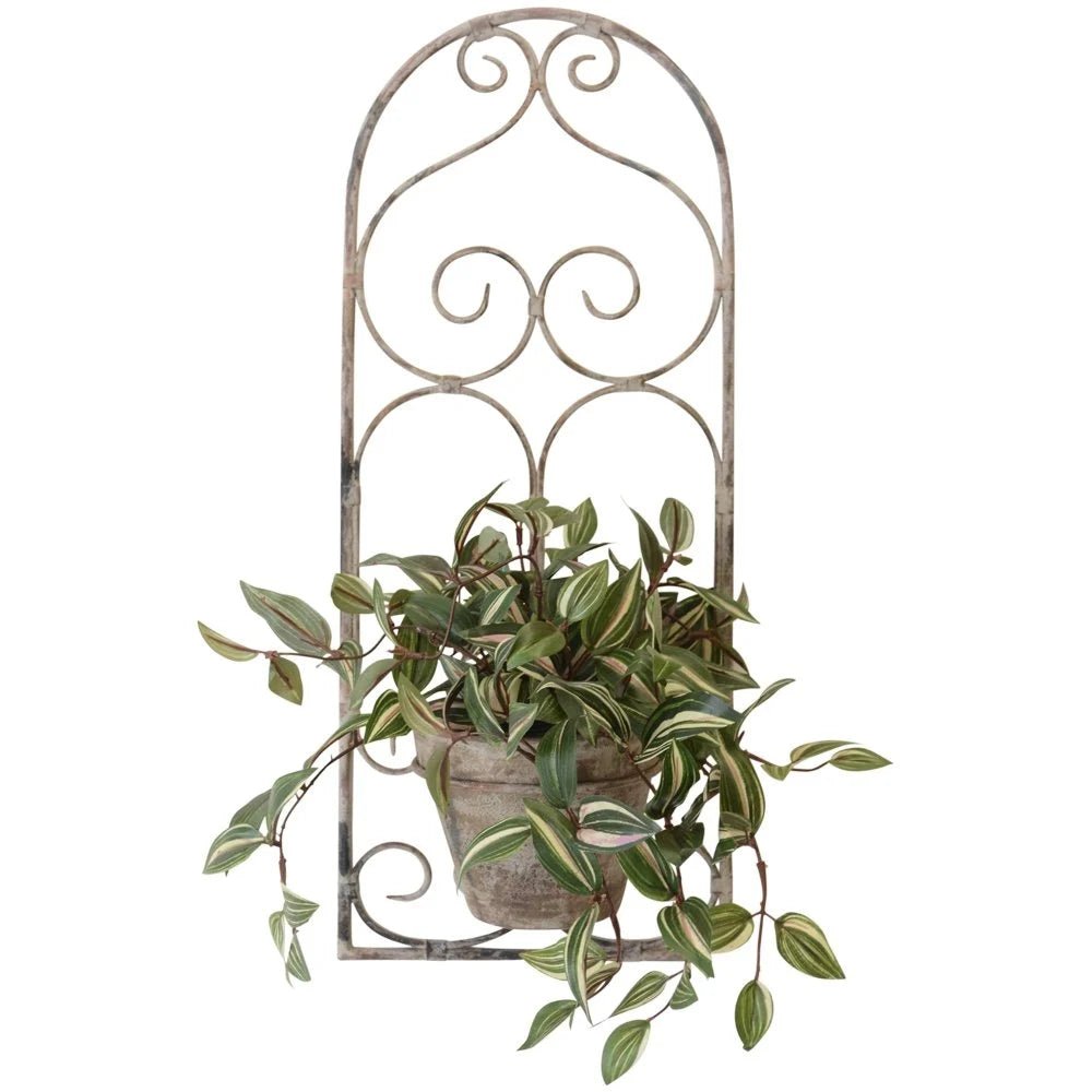 Baroc Wall Planter - Distinctly Living