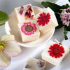 Boxed Botanical - Soy Wax Melts - Choice of Scents - Distinctly Living