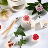 Boxed Botanical - Soy Wax Melts - Choice of Scents - Distinctly Living