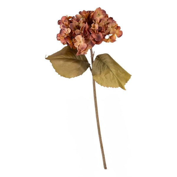 Burnt Orange Hydrangea - Distinctly Living