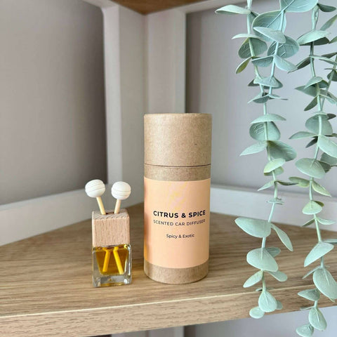 Citrus and Spice Car Diffuser - Distinctly Living
