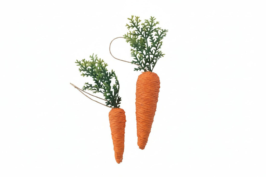 Deco String Carrots - Set of 2 - Distinctly Living