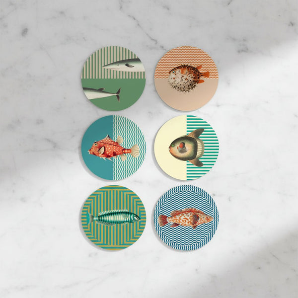 Easy Clean Coasters - Set of 6 - Distinctly Living