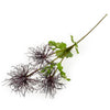 Echinops - Rich Purple - Distinctly Living