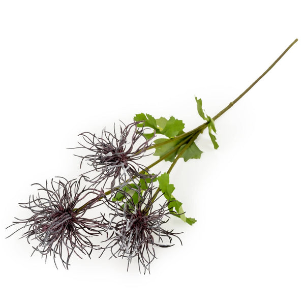Echinops - Rich Purple - Distinctly Living