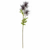 Echinops - Rich Purple - Distinctly Living
