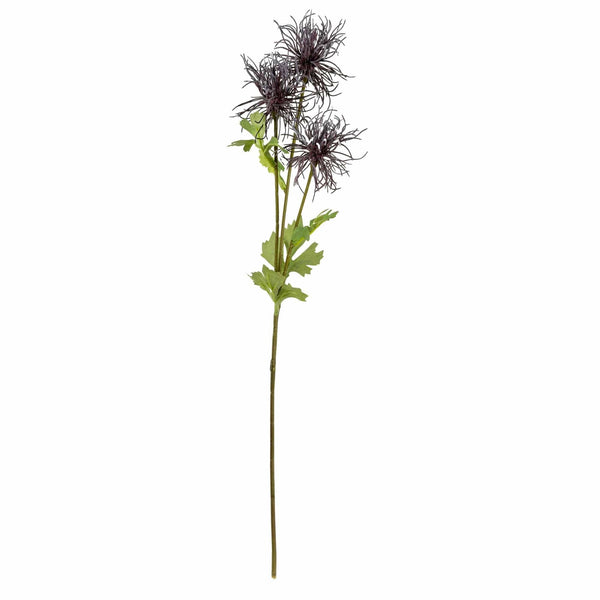 Echinops - Rich Purple - Distinctly Living