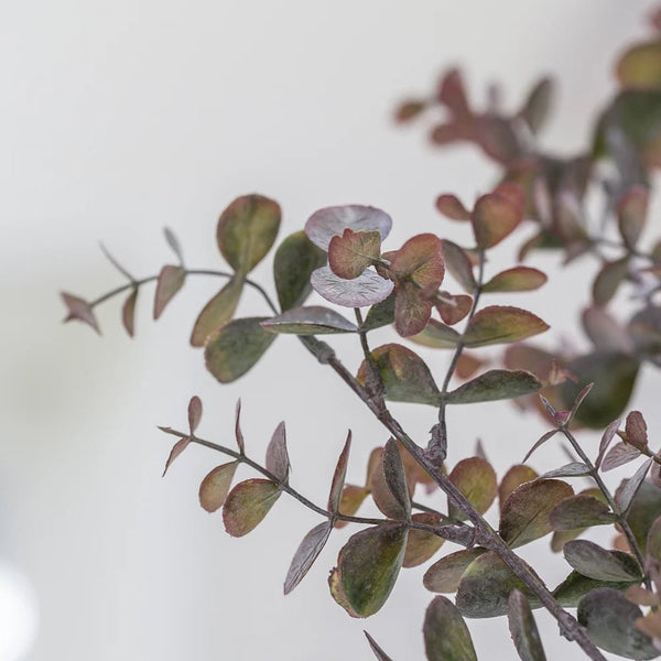 Eucalyptus Stem - Distinctly Living