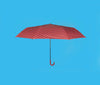 Fish Umbrella - Red or Blue - Distinctly Living