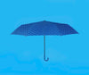 Fish Umbrella - Red or Blue - Distinctly Living