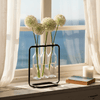 Floating Glass Vases - Distinctly Living