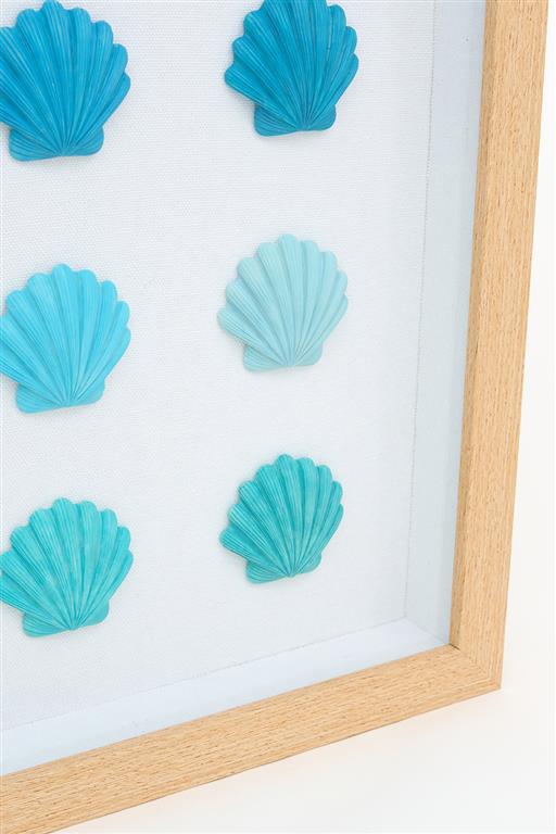 Framed Shell Montage - Distinctly Living