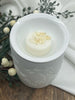 Frosted Mistletoe Botanical Wax Melts - Distinctly Living