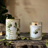 Gift Boxed Glass Candle - 3 Scents - Distinctly Living