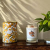 Gift Boxed Glass Candle - 3 Scents - Distinctly Living