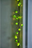 Green Berry Light Chain - Mains - Distinctly Living