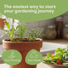 Grow your own Christmas Tree - Distinctly Living