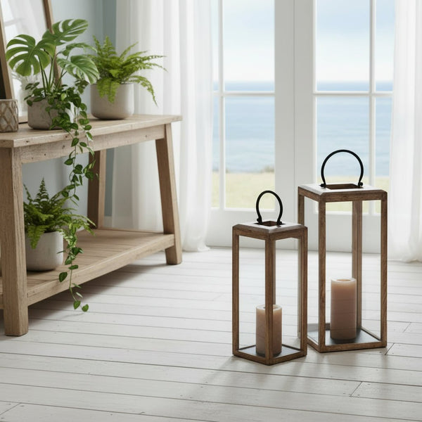 Indo - Large or Medium Hurricane - Distinctly Living