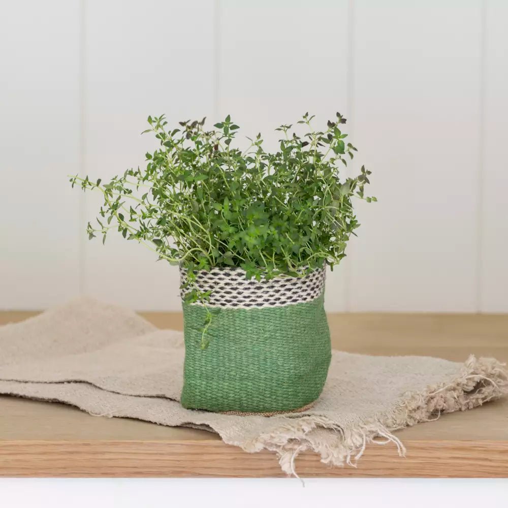 Jute Lined Planter - Green or Pink - Distinctly Living