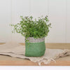 Jute Lined Planter - Green or Pink - Distinctly Living