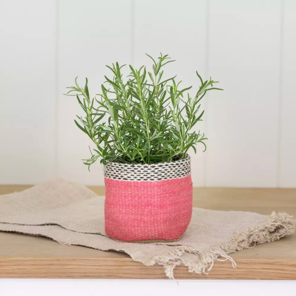 Jute Lined Planter - Green or Pink - Distinctly Living