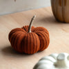 Knitted Pumpkin - Distinctly Living