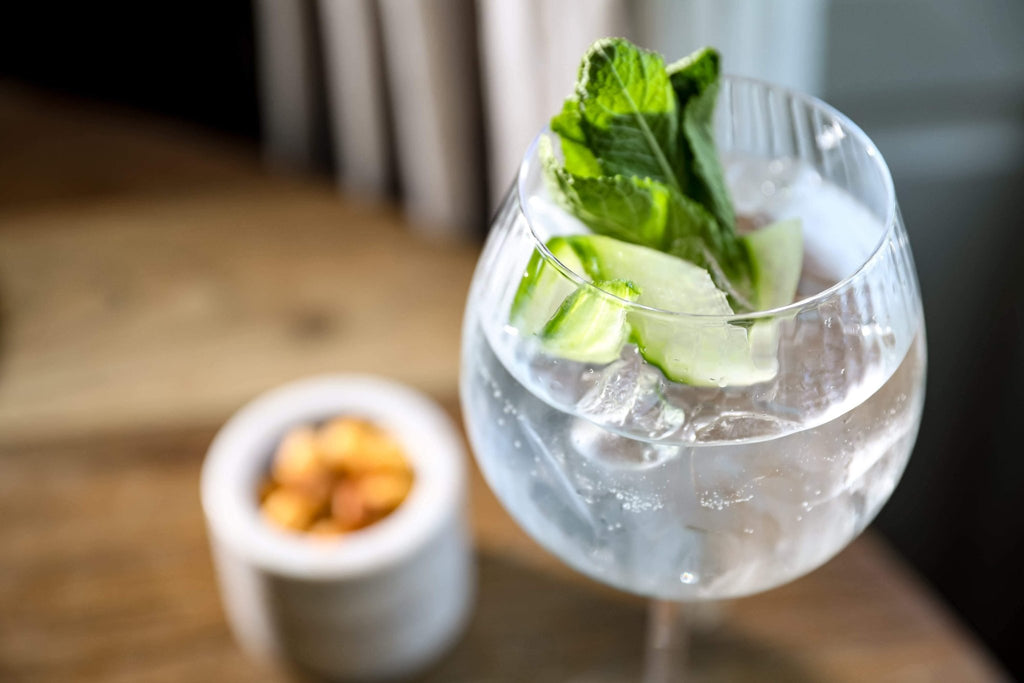 Linear Gin Goblets Set of 2 - Distinctly Living