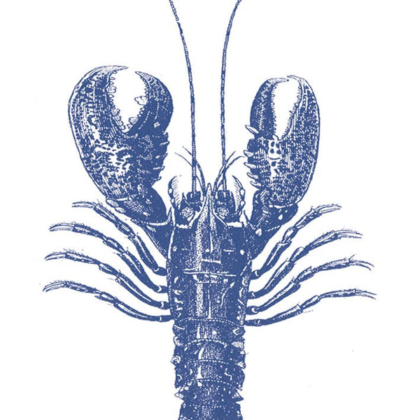 Lobster Marine Paper Napkins Pack of 20 - Distinctly Living